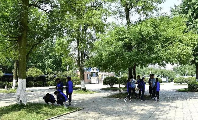 成都双流中学实验学校校园绿荫