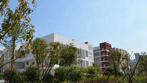 修文中学校园环境