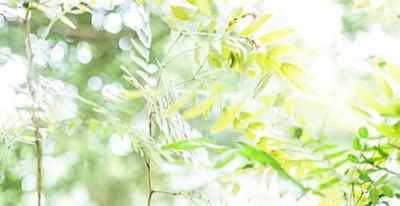 2025年初中毕业学护理专业,汕头护理专业学校推荐~