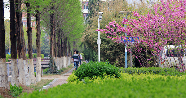 安徽新华学校