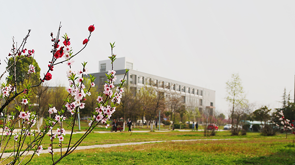 安徽新华学校