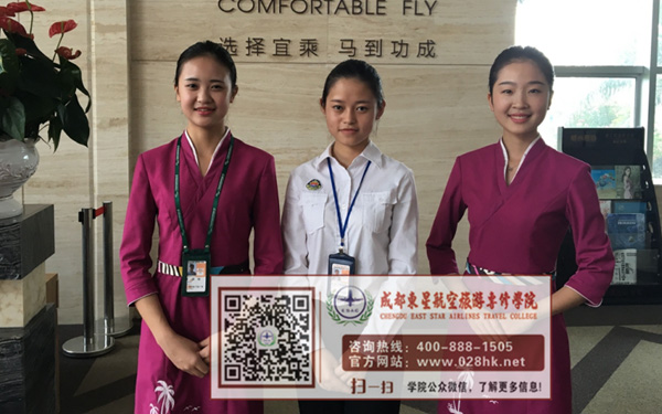 四川航空学院成都东星航空学院