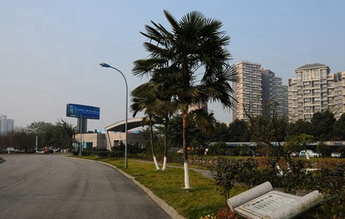 成都七中实验学校80天环游地球