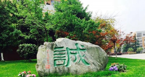成都七中实验学校石头文化