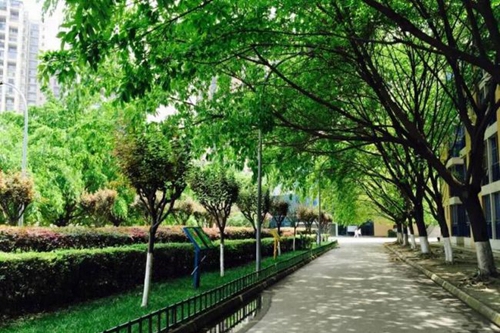 成都七中实验学校未名路