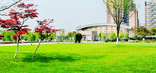 成都七中实验学校校门风景
