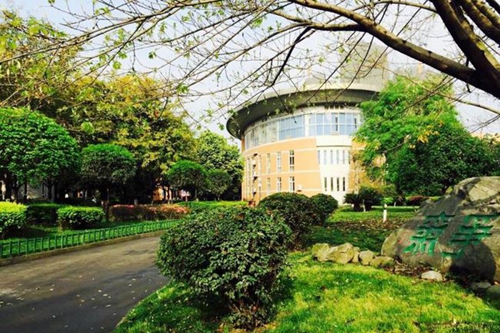 成都七中实验学校校园绿意