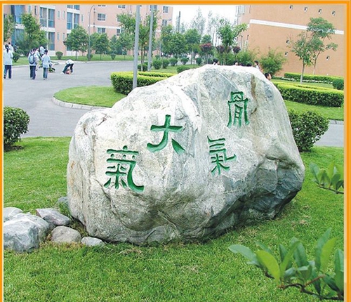 成都七中实验学校校园石