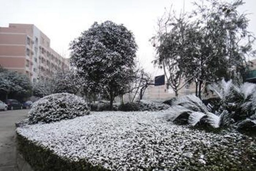 成都七中实验学校校园雪景