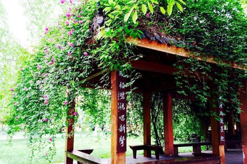 成都七中实验学校子云亭