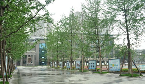 成都树德中学春日校园