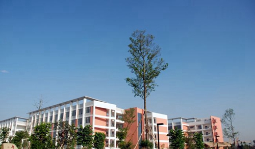 成都树德中学光华校区教学楼4
