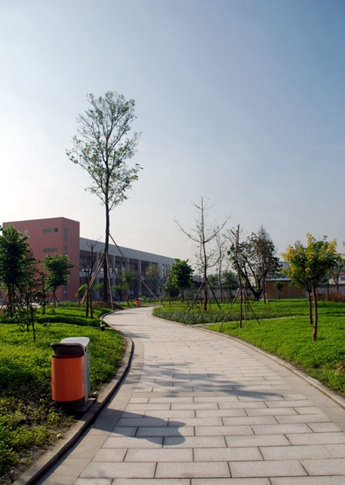 成都树德中学光华校区校园小径