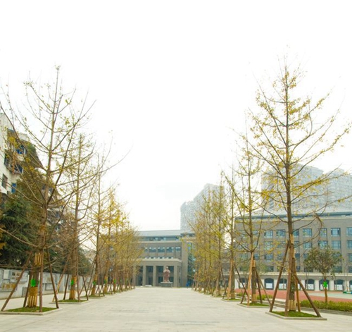 成都树德中学校园行道