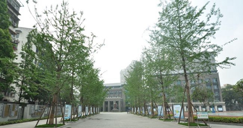 成都树德中学银杏大道