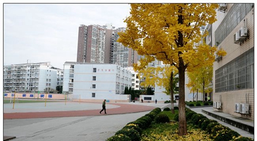 四川省三台中学校园环境1