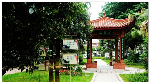 四川省三台中学校园一角1