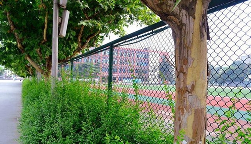 四川省江油一中操场