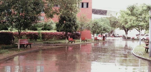 四川省江油一中校园晨雨