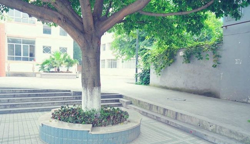 四川省江油一中校园一角