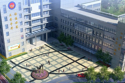 攀枝花市成都外国语学校广场鸟瞰