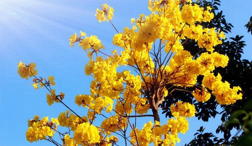 攀枝花市大河中学校校园风光1