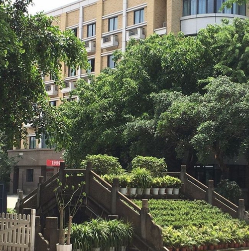 成都市华阳中学校园环境