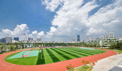 成都金苹果锦城第一中学操场