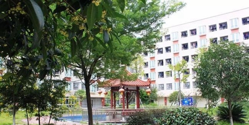 三台县芦溪中学校园环境1