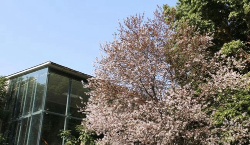 四川师范大学附属第一实验中学春色满园（龙泉校区）
