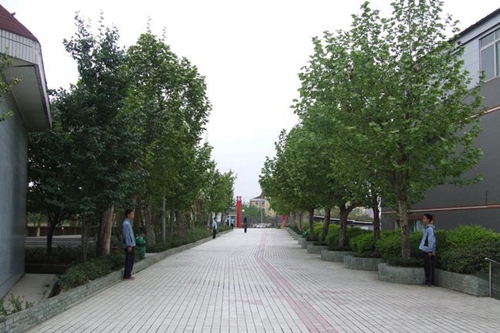 四川师范大学附属第一实验中学校园行道（锦江校区）
