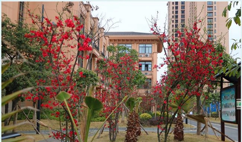 四川师范大学附属第一实验中学校园景色2（天府校区）