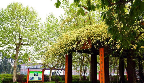 四川师范大学附属第一实验中学校园凉亭（锦江校区）