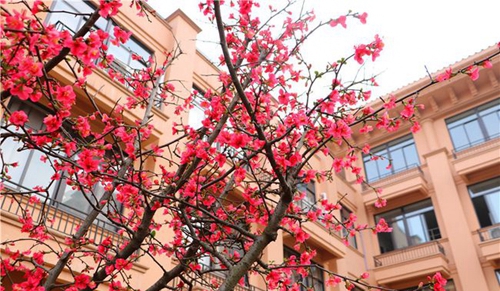 四川师范大学附属第一实验中学校园美景（天府校区）