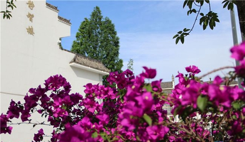 四川师范大学附属第一实验中学校园一景（龙泉校区）