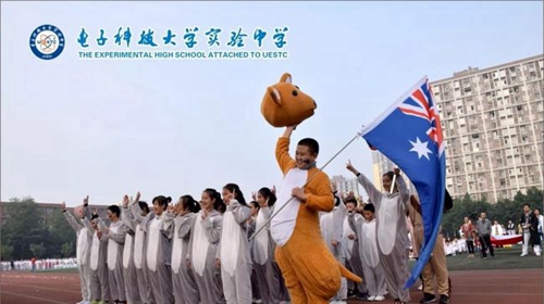 电子科技大学实验中学宠物扮演