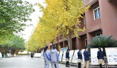 电子科技大学实验中学校园展板