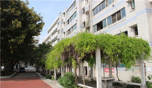 绵阳市丰谷中学艺术长廊