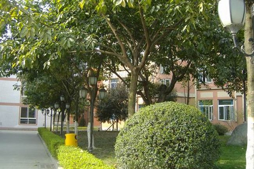 成都西川中学草坪