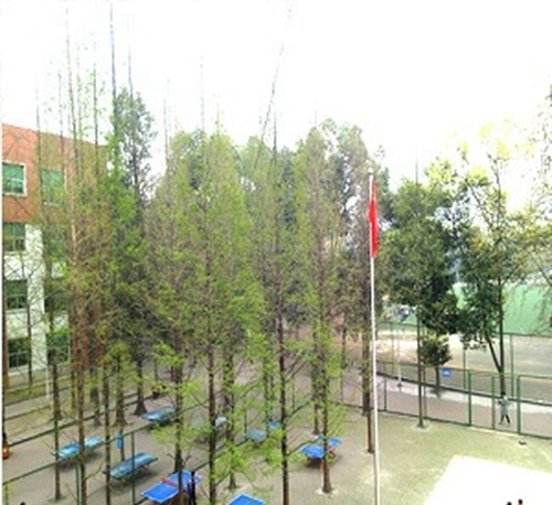 西华大学附属实验学校乒乓球场