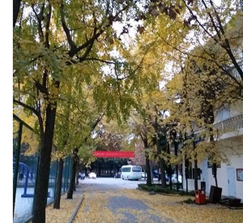 西华大学附属实验学校学校西门