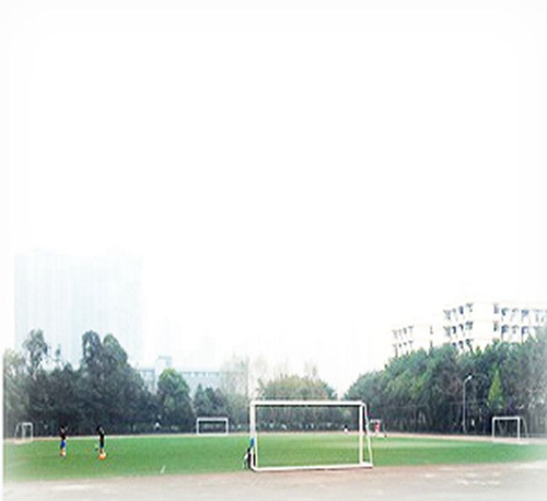 西华大学附属实验学校学校足球场