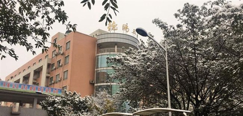 德阳市第五中学校园雪景4