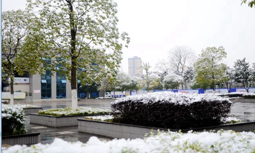 德阳市第五中学校园雪景