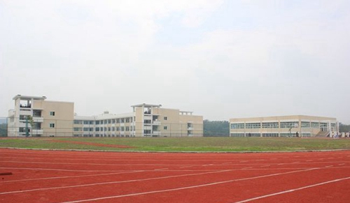 绵阳高新区实验中学塑胶运动场