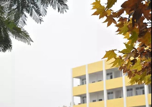 简阳市养马中学教学楼一角