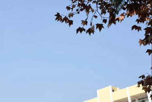 简阳市养马中学校园风光