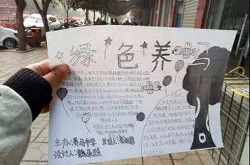 简阳市养马中学学生作品