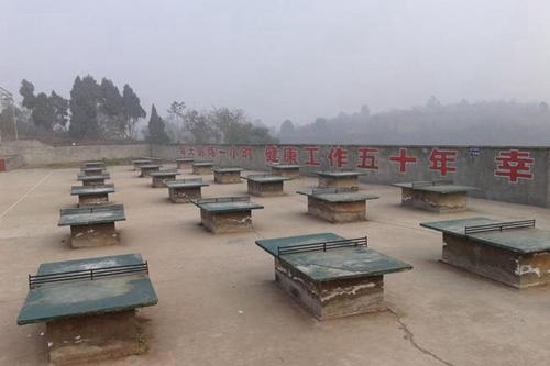 简阳市贾家中学乒乓球台