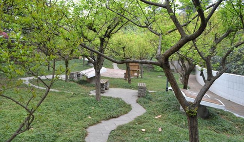 简阳市贾家中学校园小径